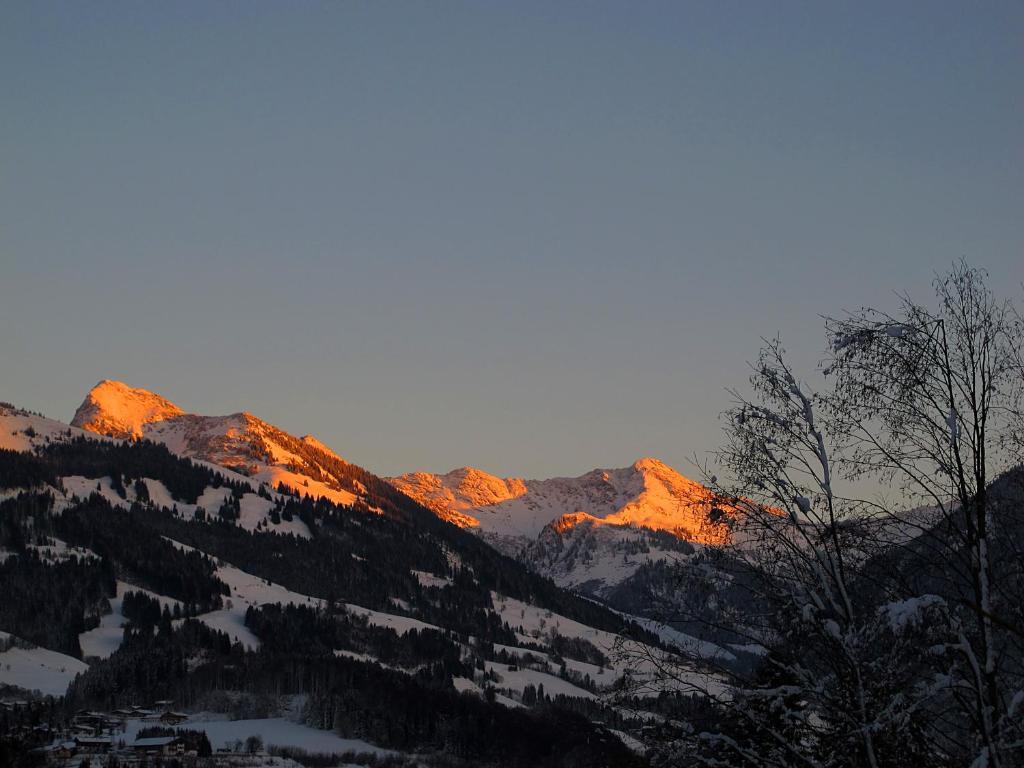 Apartment Haus Schatz Kitzbühel Værelse billede